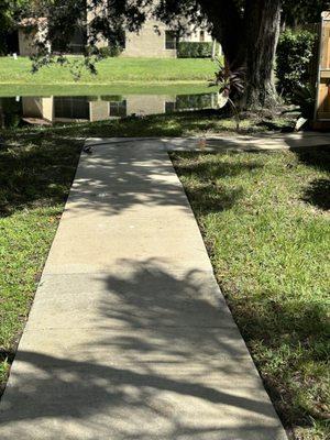 Pressure Washing in Boca Raton