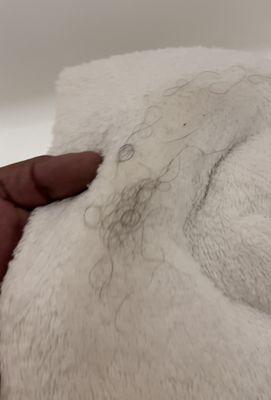 Pubic hairs from tub