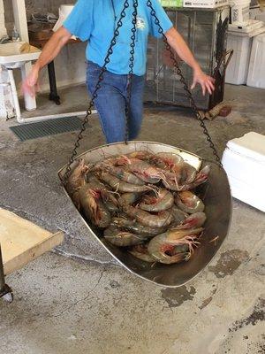 My mom has been coming to Dubberly's since I was a kid growing up in Savannah. There is no fresher seafood along the Ga Coast ...period.