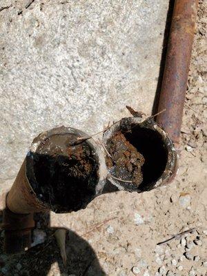 Clogged pipes from kitchen sink