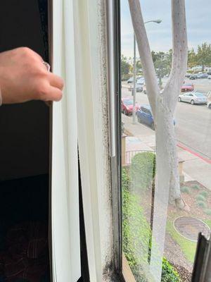 Black mold growing in other bedroom window.