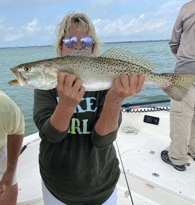 Spotted sea trout