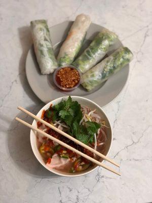 Pho potsticker & spring rolls