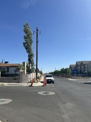 Electric poles near tree: risk power outages, fires, traffic collisions obstructs drivers at adjacent stop sign.