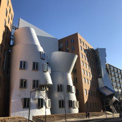 Frank Gehry's exterior design