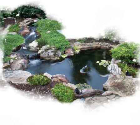 Another happy client from The Pond Pros of Southern California Koi Ponds,  Water Gardens & Theme landscapes. Dennis Kading