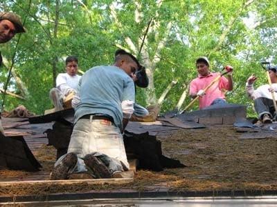 Peeling off old roofing...they hauled off carefully without damaging plantings