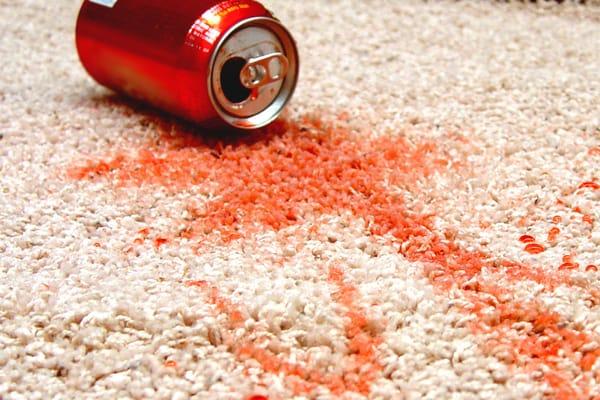 carpet stain removal in Brighton, NY