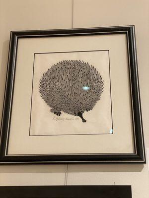 Yep, that's an echidna