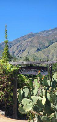 View from Loma Vista Gardens