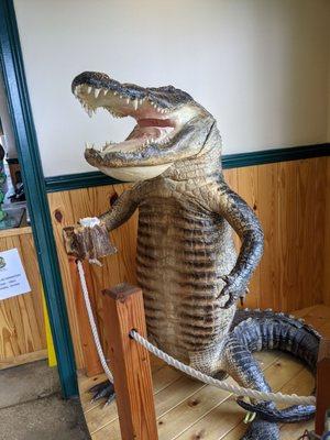 Alligator greeter at the door