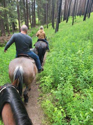 Judy tells fun things about the plants and land around while out.