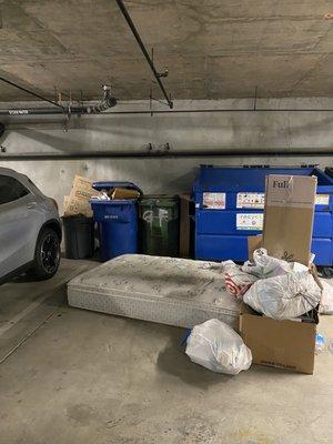 Garage. This mattress was there right before I started having the flea problem. Someone threw it on the ground.