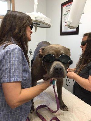 Therapeutic Laser Therapy