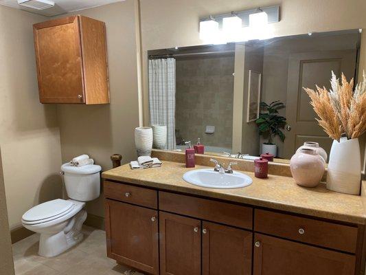 Palomino Apartments in San Antonio, TX.  Offering one and two bedroom apartments for rent in San Antonio.