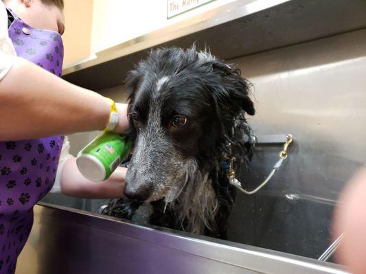 First time using the bath here. Pretty convenient. He looks soooo happy!!!