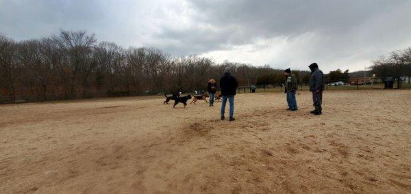 Large dog run . For large Dogs.