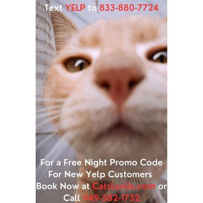 Text YELP to (833)880-7724 For A Free Night For New Yelp Customers