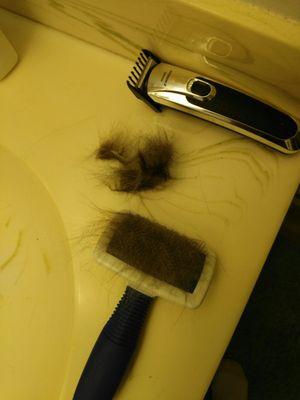 Excess hair after being shaved