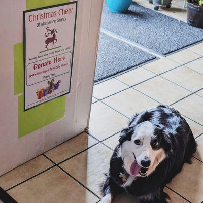 Bar dog Cerberus trying to get people to donate toys to the kids.