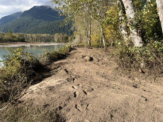 Cleared brush from river for improved views and access