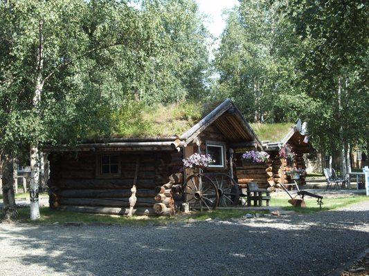 Took a round-trip shuttle to and from Chena Hot Springs.