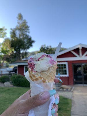 Sierra Wild Blueberry w/ Waffle Cone!