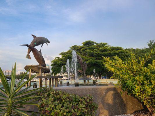 Dolphin fountain