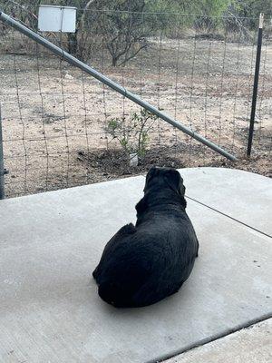 Iris was in so much pain towards the end she wanted to sit outside in the cold