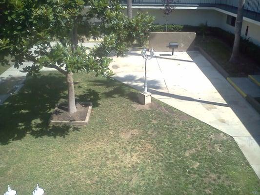 Courtyard from Southeast 2nd floor walkway.