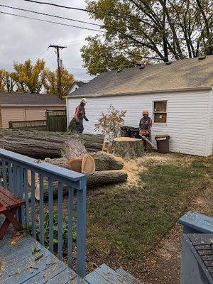 Homer Tree workers chainsawing for tree and stump removal