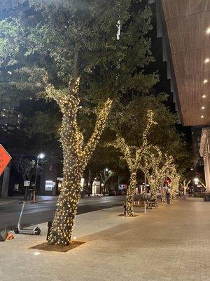 Nice trees and benches to sit at night