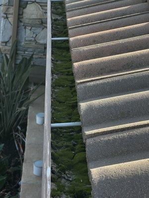 Before- keep those gutters clean to prevent pest and water damage