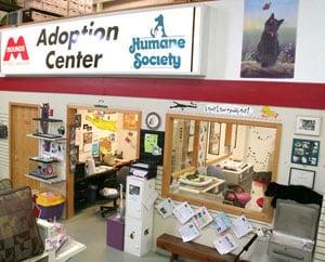 Fitchburg location adoption center