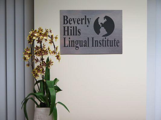 Founded in 1996, the Beverly Hills Lingual Institute has grown to serve thousands of language students.