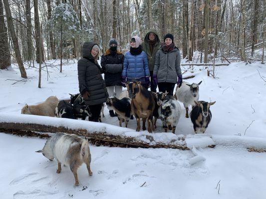 Into The Woods Farm Goat Adventure