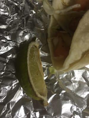 I really would of preferred if they just didn't give me a lime wedge at all, I was pretty grossed out when I saw this.