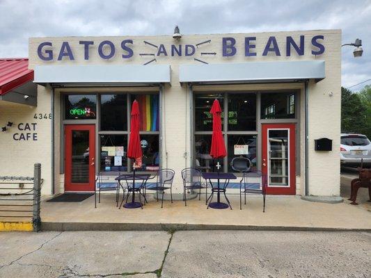 Gatos and Beans