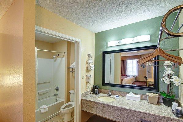 King Guestroom Bathroom