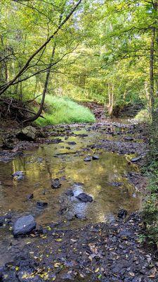 Idlewild Road Park