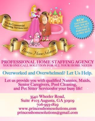 Professional domestic agency