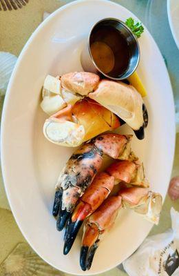 Large stone crab