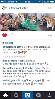 From OTL Instagram on my pups birthday