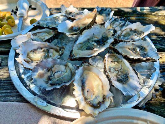 $100 for 50 medium-sized oysters