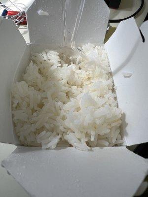 White Rice