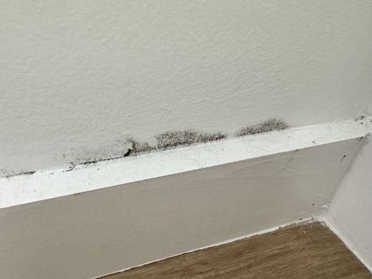 Mold in 3rd bedroom