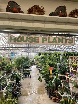 House plant greenhouse