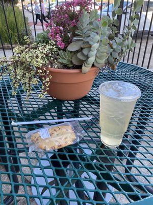 Coconut tea and scone.