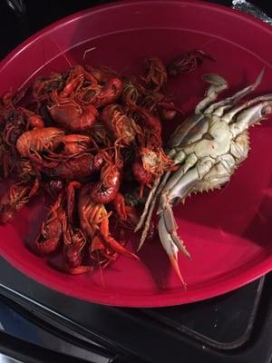 Crawfish and a crab full of eggs and fat