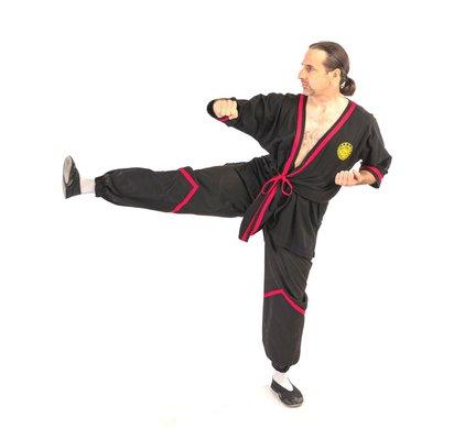 This is the side kick and bar arm from the second form of Wing Tsun kung-fu!